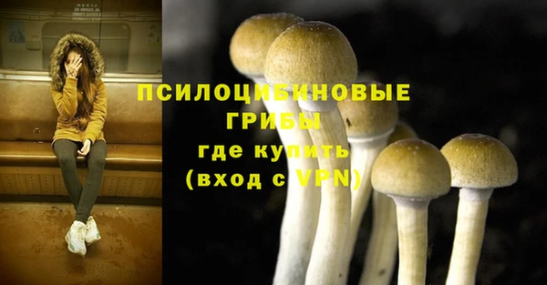 spice Абинск