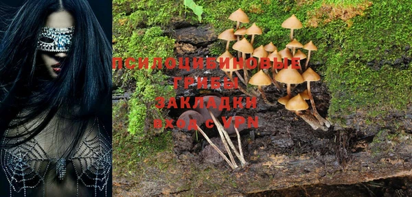 spice Абинск