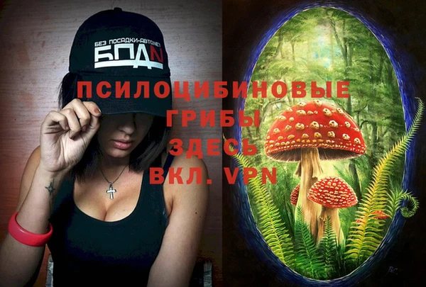 ешки Абдулино
