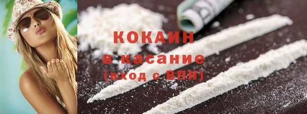 мет Алексин