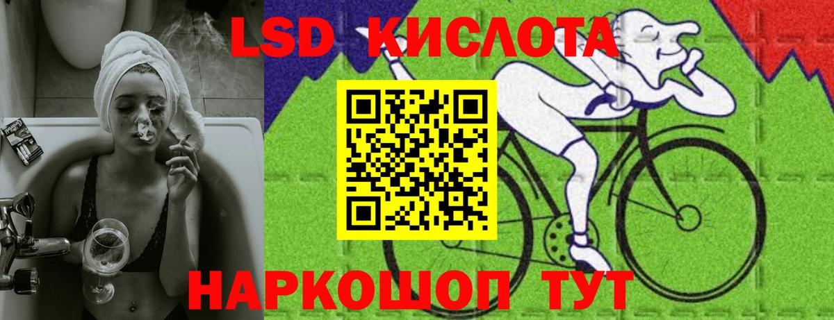 Псилоцибиновые грибы Анапа