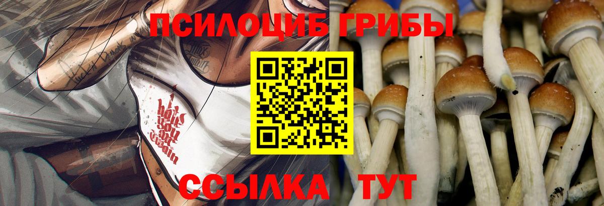 Галлюциногенные грибы Psilocybe  Вход с VPN  Анапа  Галлюциногенные грибы Psilocybine cubensis 